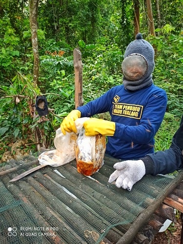 Pemburu MQ 1
