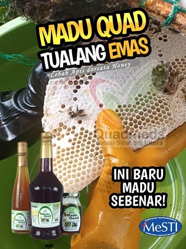 Poster Sarang 5